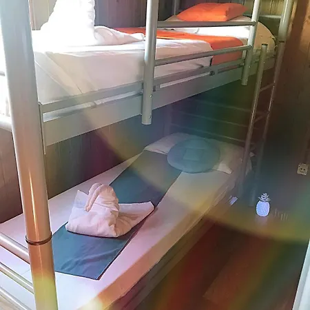 Hostel Casa Barbie Costinesti - Str Principala Nr 8 Costinesti